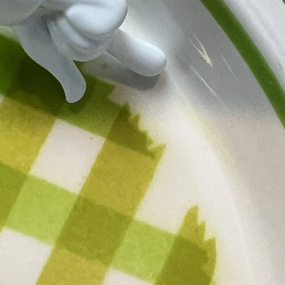 Mikasa Country Gingham Mint Taffy Tulip Dinner Plate Green Vintage 1970s